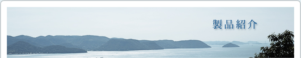 製品紹介